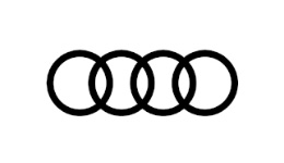 AUDI AUDI